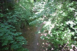 Blick in den Hirschgraben Biberach