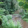 Naturschutzgebiet Tuffsteinbruch Weissenbronnen Wolfegger Ach Weissenbronnen