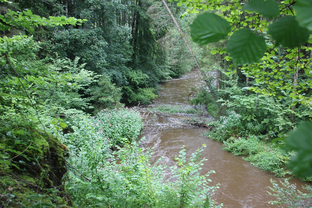 Naturschutzgebiet Tuffsteinbruch Weissenbronnen