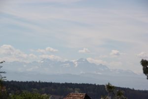Alpenblick vom Tettnang