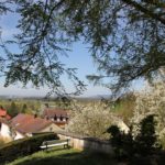 Sitzbank im Schlosspark Tettnang