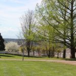 Umfassungsmauer Schlosspark Tettnang
