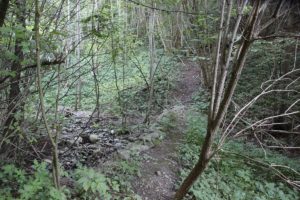 Weg zur Burgrunie Prassberg