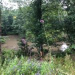 Bihlafinger Weiher Hinterer