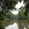 Bihlafinger Weiher | Angeln, Naturbeobachtungen und Naherholung Bihlafinger Weiher Vordere