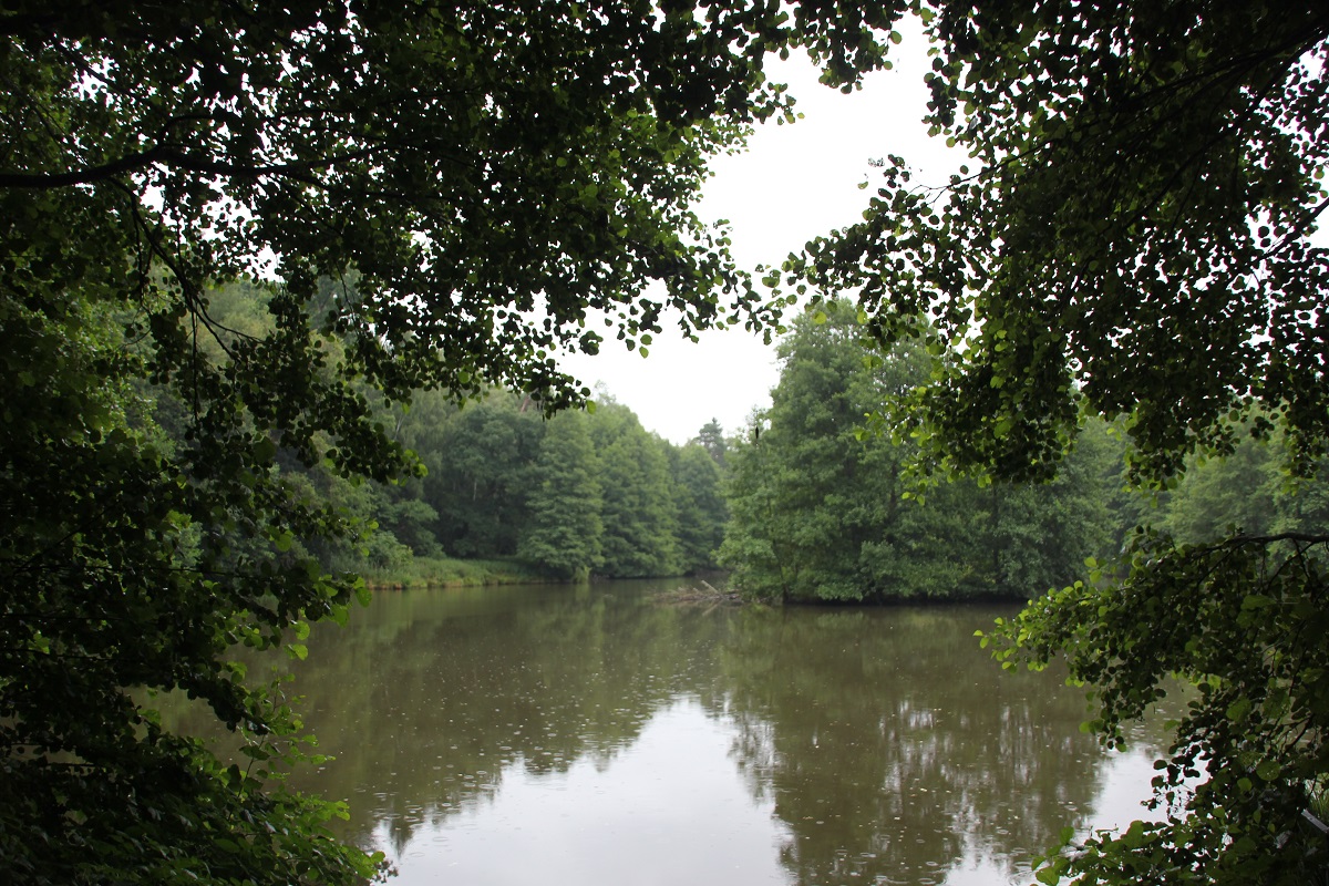 Bihlafinger Weiher | Angeln, Naturbeobachtungen und Naherholung