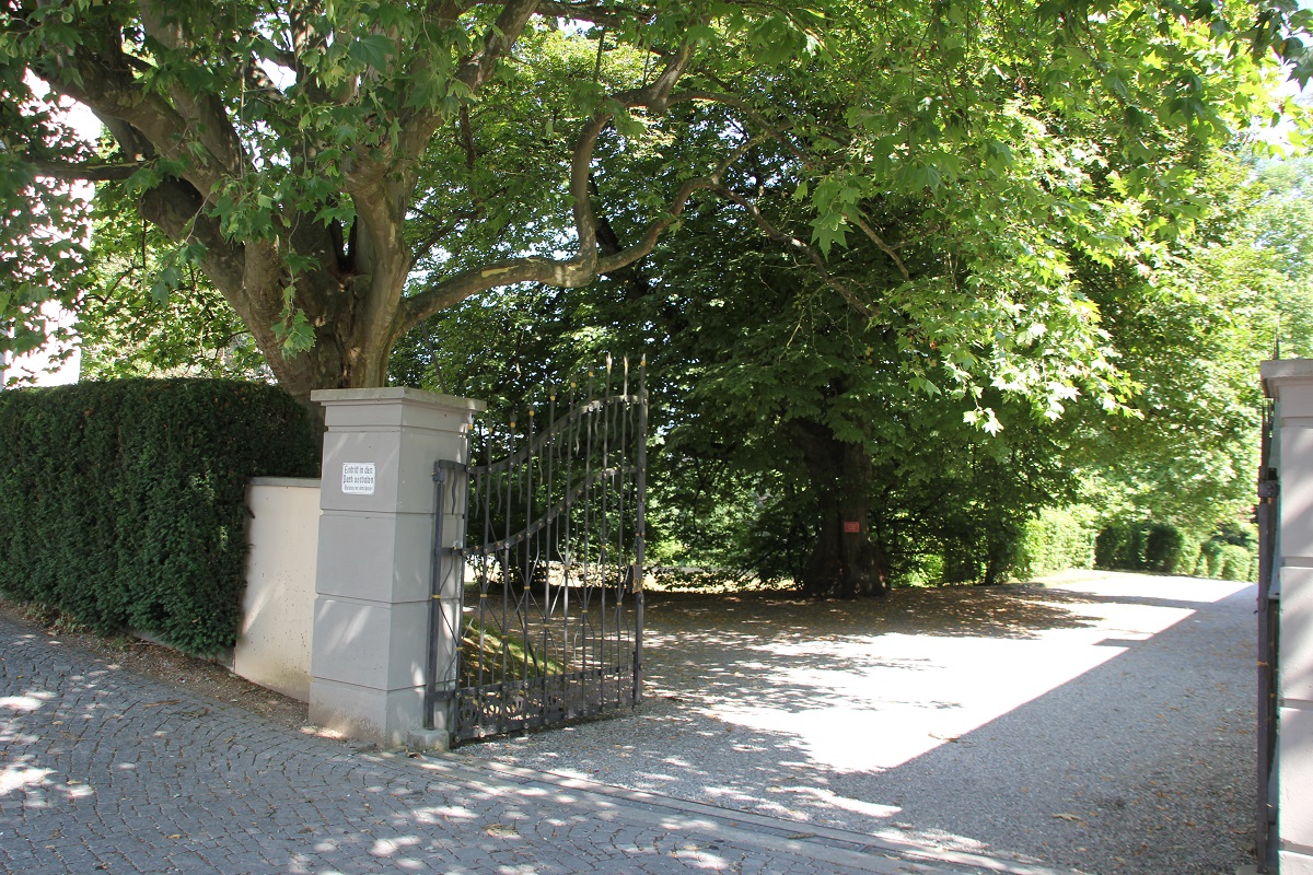 Toreinfahrt Schlosspark Koenigseggwald