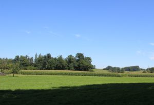 Naturschutzgebiet Auweiher Bodnegg