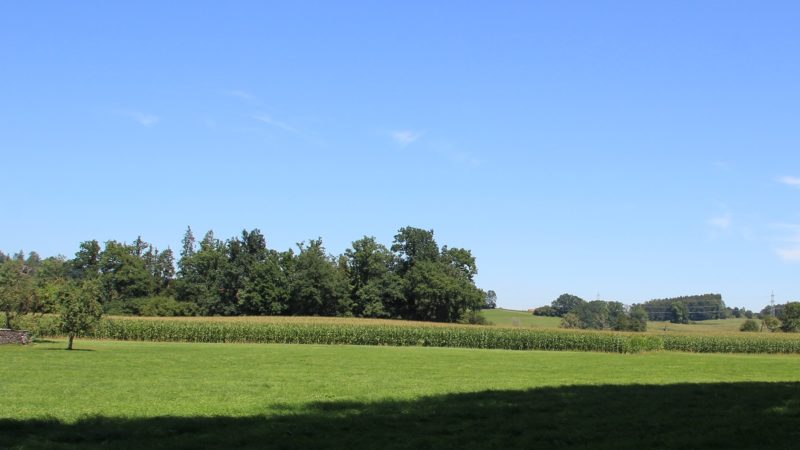 Naturschutzgebiet Auweiher