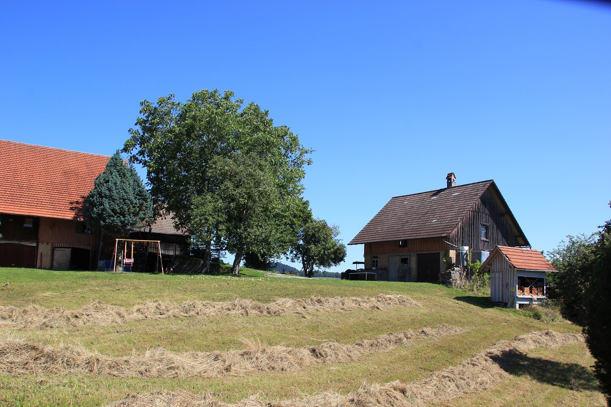 Burgstall Schlössle Amtzell