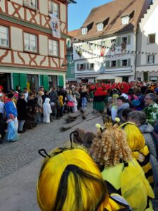 Fasnetsumzug Bad Waldsee