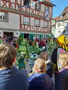 Fasnetsumzug Bad Waldsee