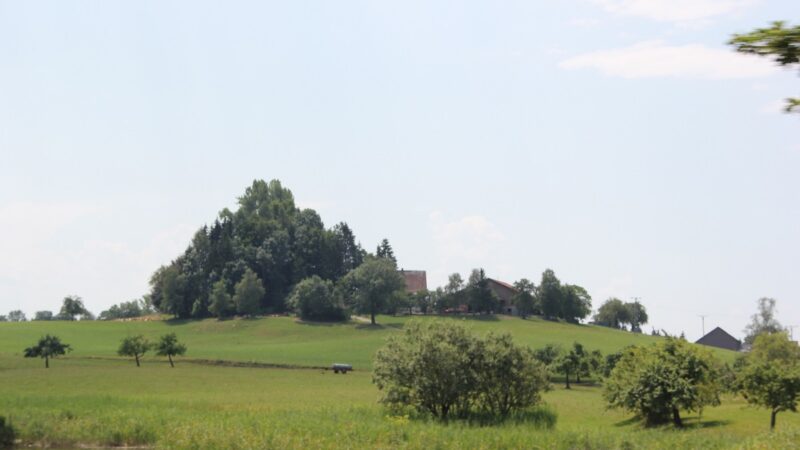 Burgstall Artisberg und der Artisberger Weiher