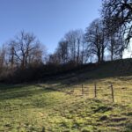 Burgstall Moosing