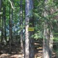 Gründlenmoos Burgstall Schild