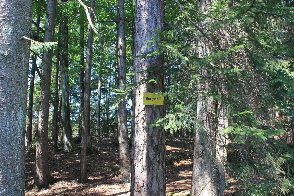 Gründlenmoos Burgstall Schild