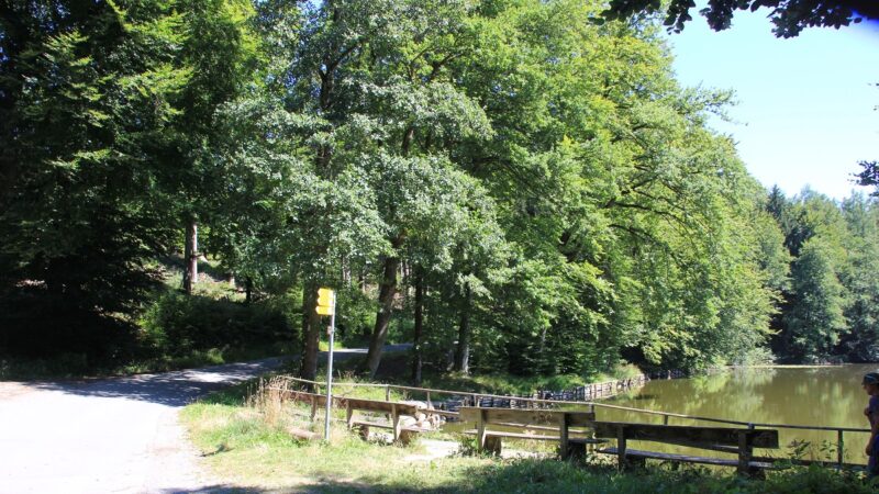 Holzweiher im Naturschutzgebiet Igelsee bei Neukirch