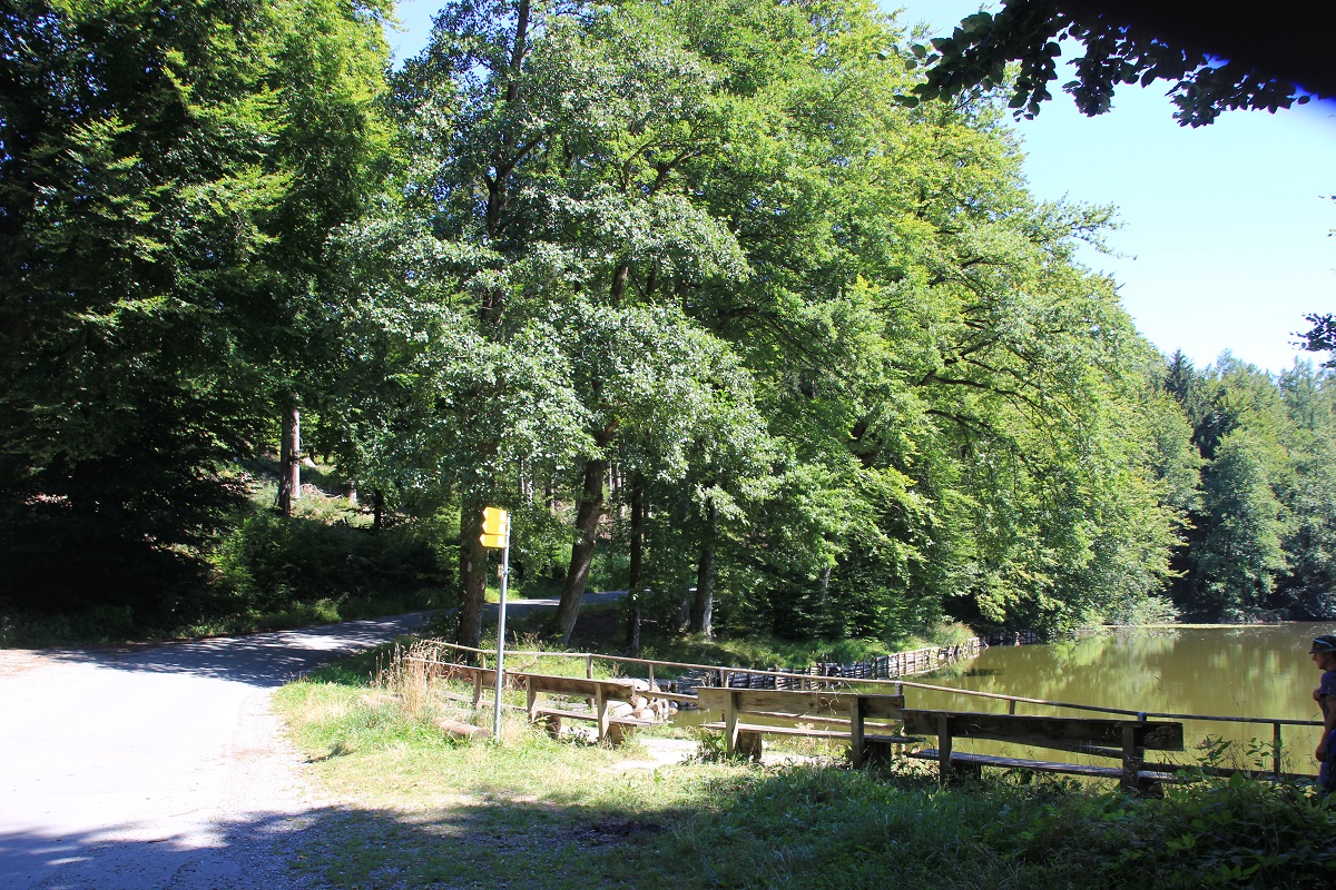 Holzweiher Igelsee Wanderwege