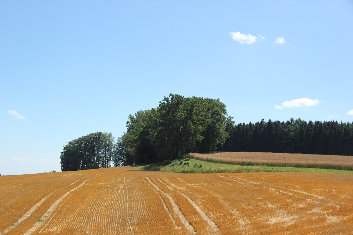 Hübschenberg bei Fronhofen