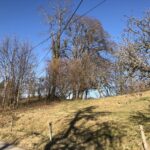 Hügel Burgstall Moosing - Mosheim