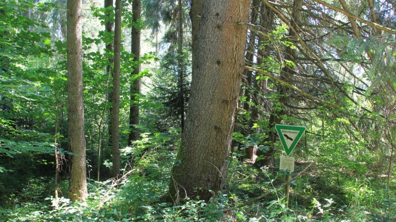 Naturschutzgebiet um den Jägerweiher