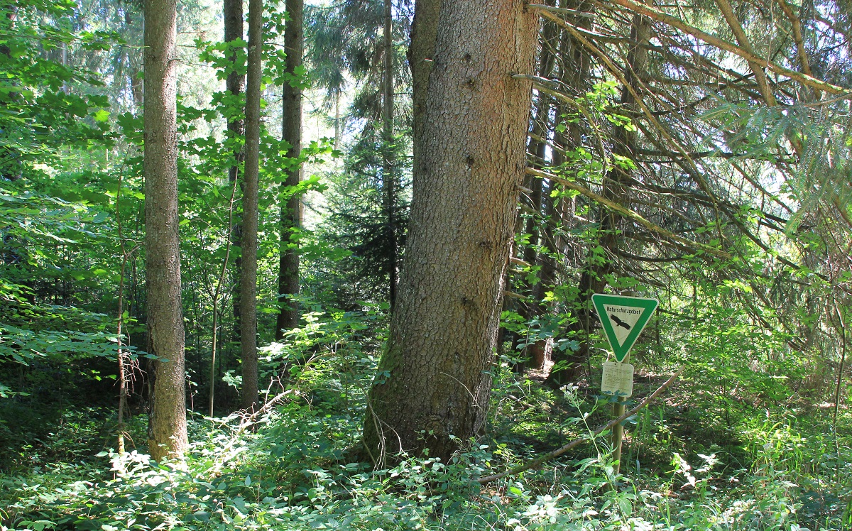Jägerweiher Naturschutzgebiet