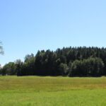 Wiesen rund um Jägerweiher Naturschutzgebiet