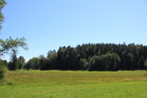 Wiesen rund um Jägerweiher Naturschutzgebiet