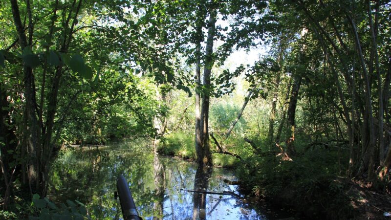 Herzogenweiher bei Amtzell