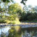 Wasser und Steine der Unteren Argen Beutelsau