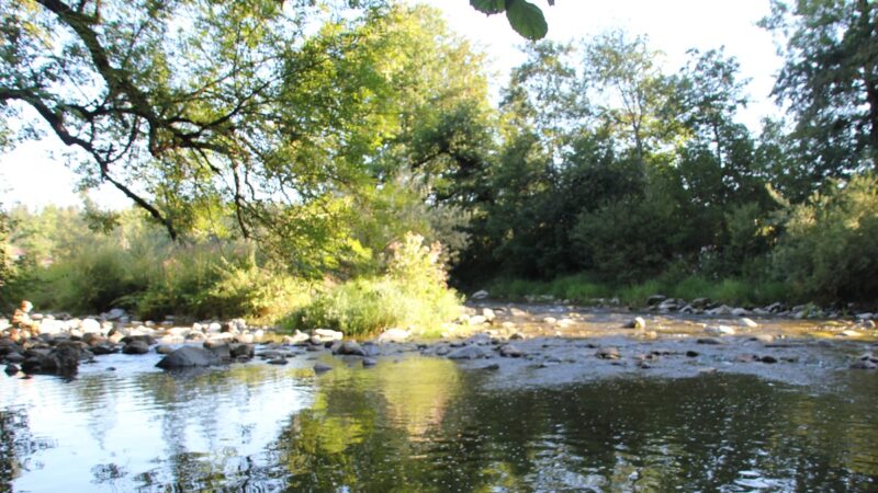 Badestelle in der Argen bei Wangen-Beutelsau