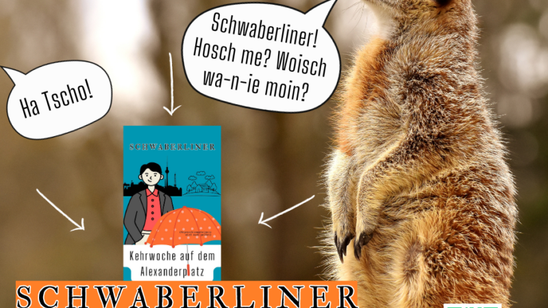 Lustiges Buch: Schwaberliner. Ein Schwabe in Berlin