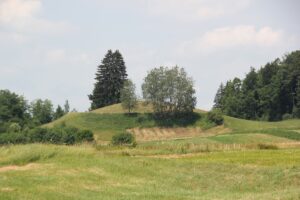 Burgberg Boshasel Heiligenberg-Wintersulgen