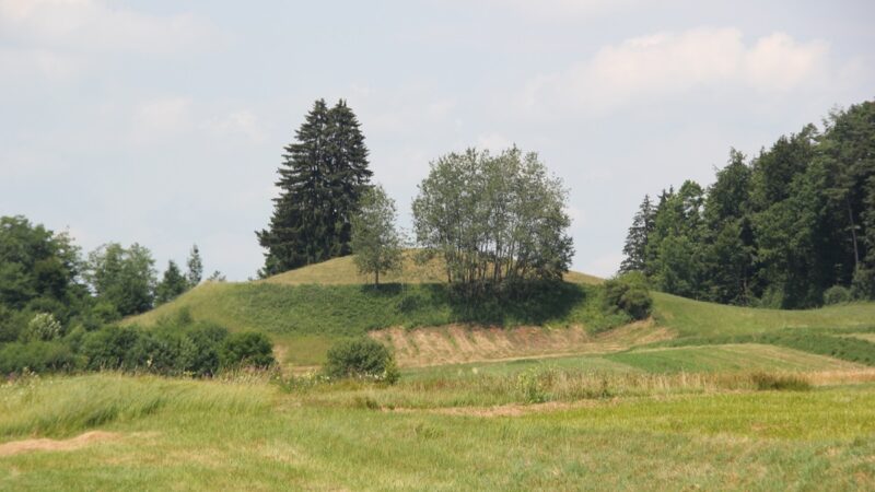 Burgberg Boshasel Heiligenberg-Wintersulgen