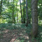 Bergplateau Spiesberg