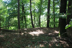 Burgstall Spiesberg Allgäu
