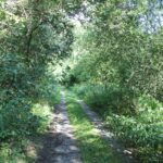12 Feldweg Bahndamm