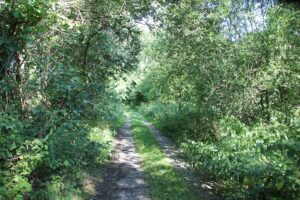 12 Feldweg Bahndamm