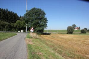 14 Geteerter Weg Felder Wolfegg Blick zurück