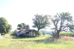 16 Zerstörte Hütte Wanderweg Wolfegg Stockweiher
