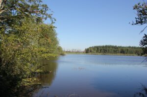 23 Stockweiher Wolfegg Wasserfläche
