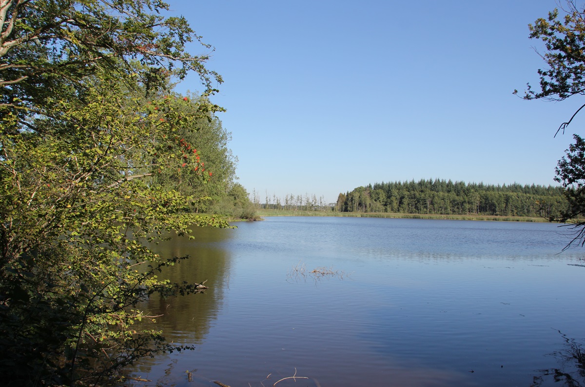 23 Stockweiher Wolfegg Wasserfläche