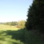 8 Offenes Feld Wolfegg
