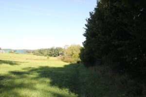 8 Offenes Feld Wolfegg