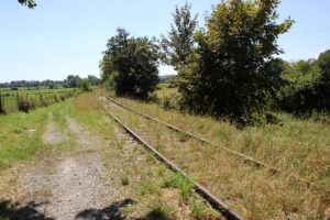Geologie-Pfad Bad Schussenried Alte Torfbahn