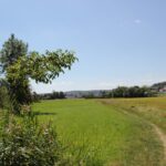 Geologie-Pfad Bad Schussenried Pfad über Felder