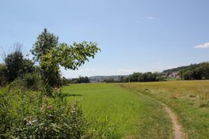 Geologie-Pfad Bad Schussenried Pfad über Felder