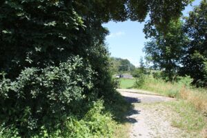 Geologie-Pfad Bad Schussenried Schienenquerung