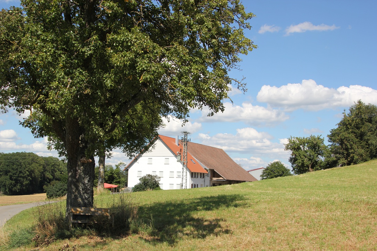 Hof Horb Burgstall