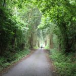 Kanzachweg Baumgütel